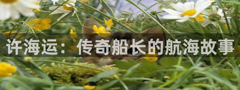 公海赌船官方