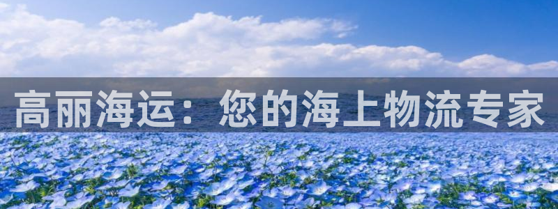 710公海赌赌船有总代理吗