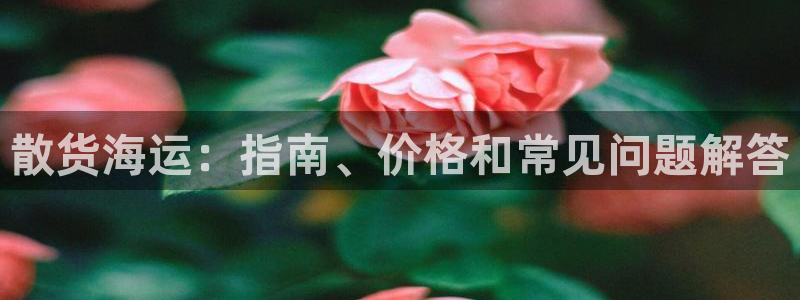 公海赌赌船官网jc710 下载