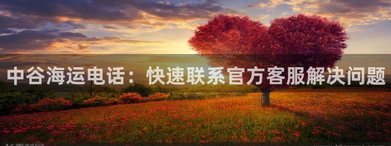 公海赌钱很大吗