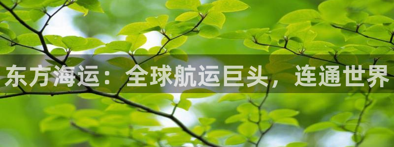 公海赌赌船官网可以做代理吗