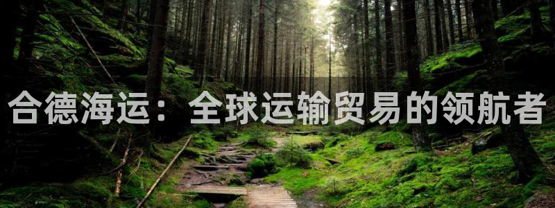 公海赌钱
