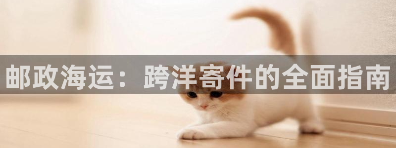 欢迎来到公海电脑版