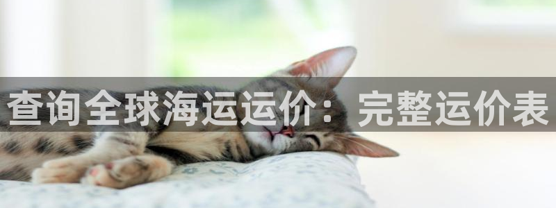 公海欢迎来到赌船