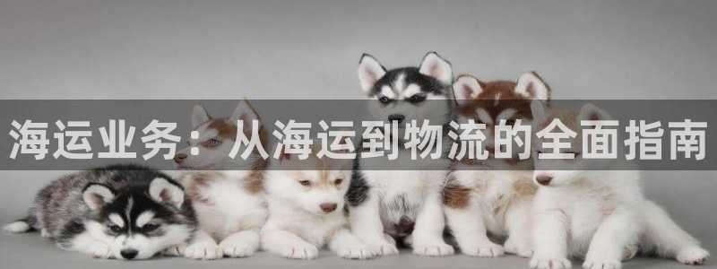 公海赌钱