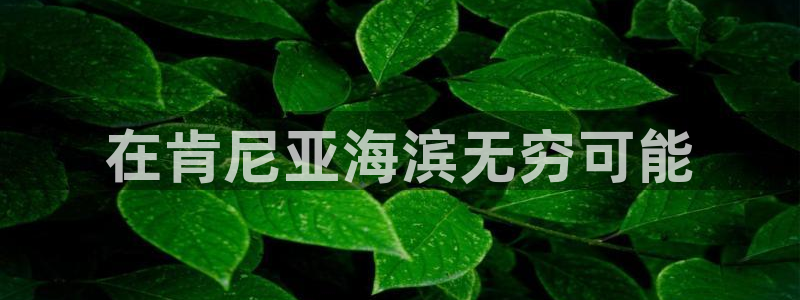 公海赌赌船官网图标