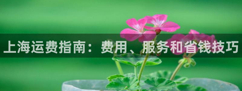 欢迎来公海欢迎来赌船!