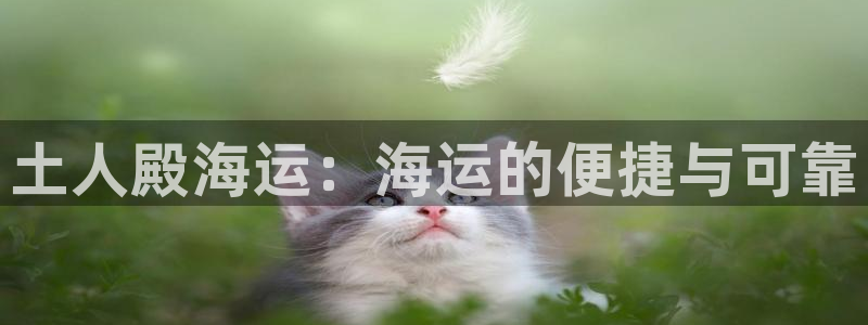 欢迎来到赌船公海710