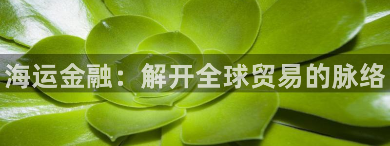 公海 赌船710手机版下载官方