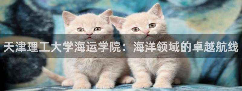 公海赌赌船贵宾会员检测路线