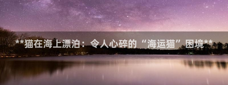 公海赌赌船官网图标