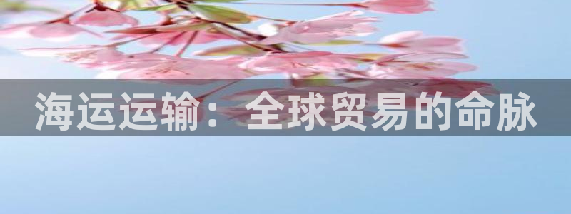 公海赌钱