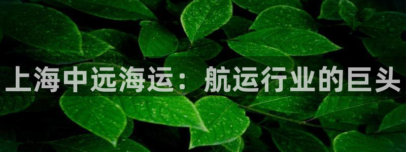 公海赌赌船利息宝是真的吗