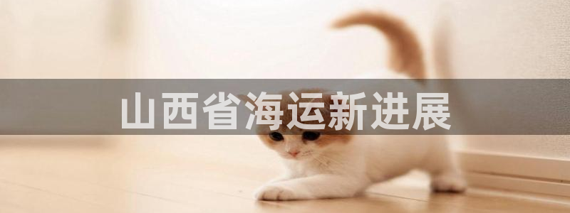 公海赌钱违法吗