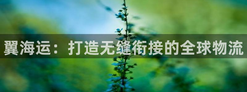 公海赌钱很大吗