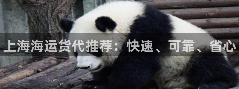 公海赌赌船手机下载