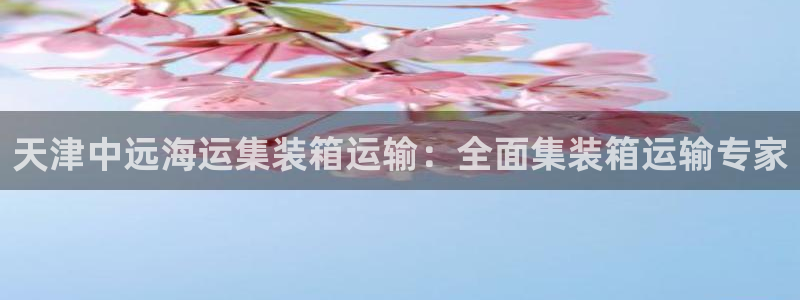 欢迎你来到 公主的海岛