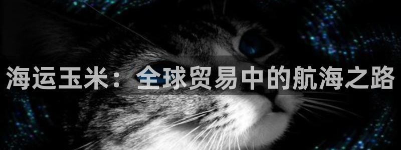 在公海赌博不违法吗