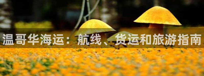 公海赌赌船官网jc710