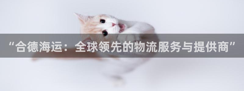 公海赌赌船