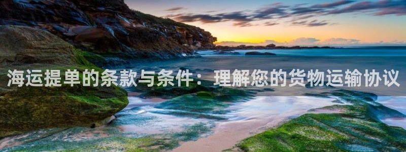 欢迎你来到 公主的海岛