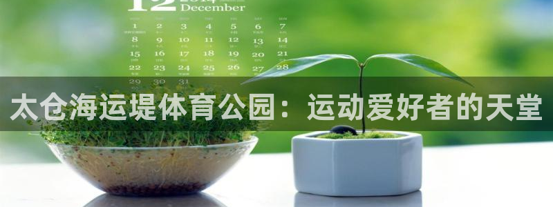 公海船赌网站是多少