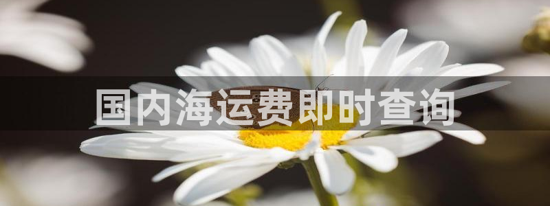 公海赌赌船官网可以做代理吗