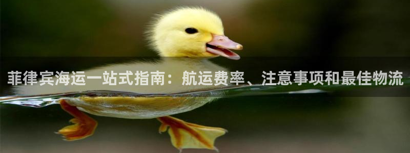 欢迎公海来到赌船710