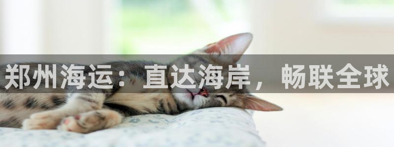 欢迎来到赌船公海710