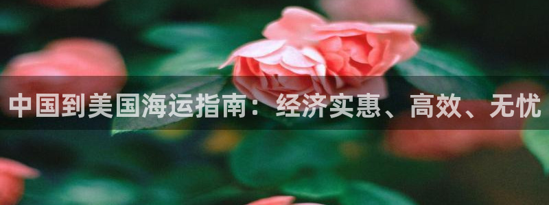 欢迎来到公海7108
