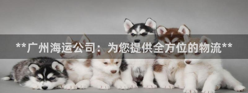欢迎您来到公海欢迎来到赌船
