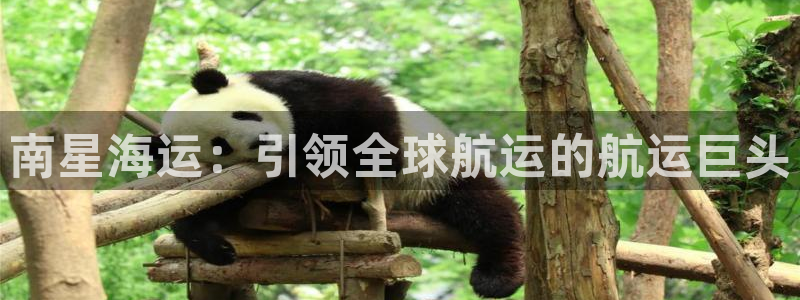 去公海赌博合法吗