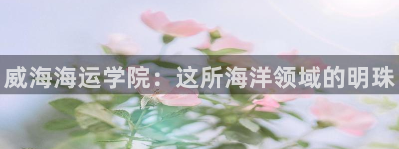 欢迎来公海欢迎来到船701