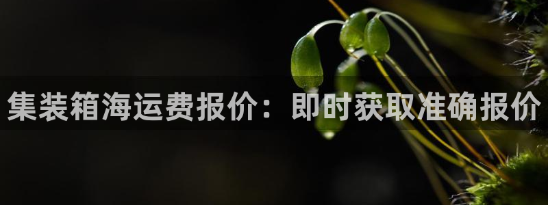 欢迎来到公海堵船