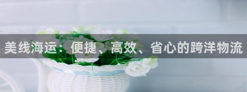 公海赌船吧