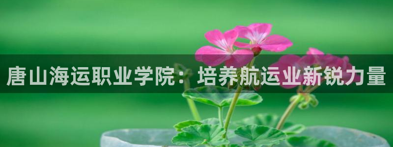 欢迎你来到公主的海岛