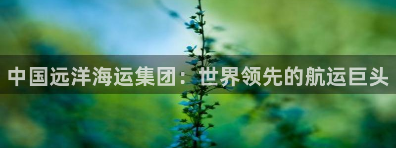 公海赌船官网下载