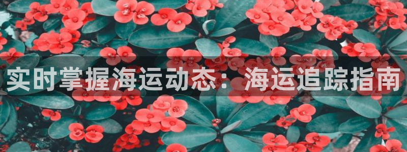 欢迎来到 公园