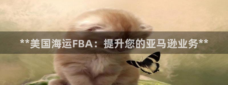 欢迎你来到 公主的海岛