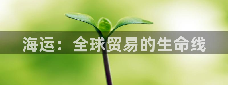 公海赌赌船官网图标