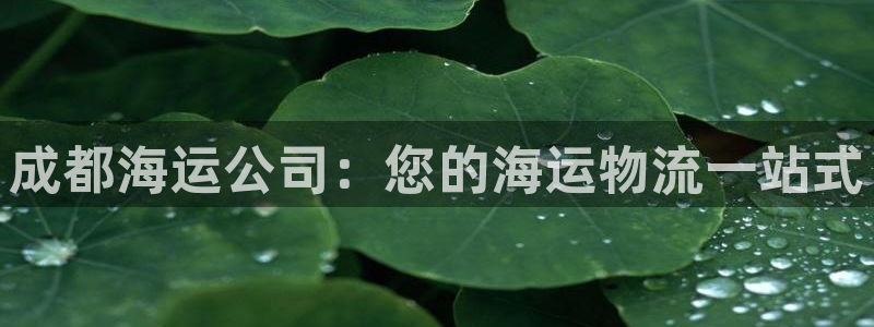 欢迎你来到公海赌