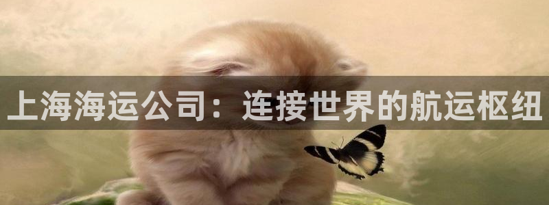 公海赌赌船官网710忘记账号了