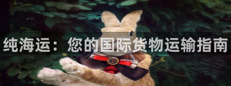 公海赌赌船维护多久