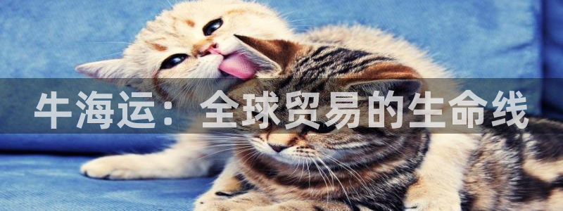 710公海赌赌船有总代理吗