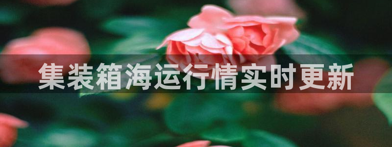 公海赌赌船系统维护要多久